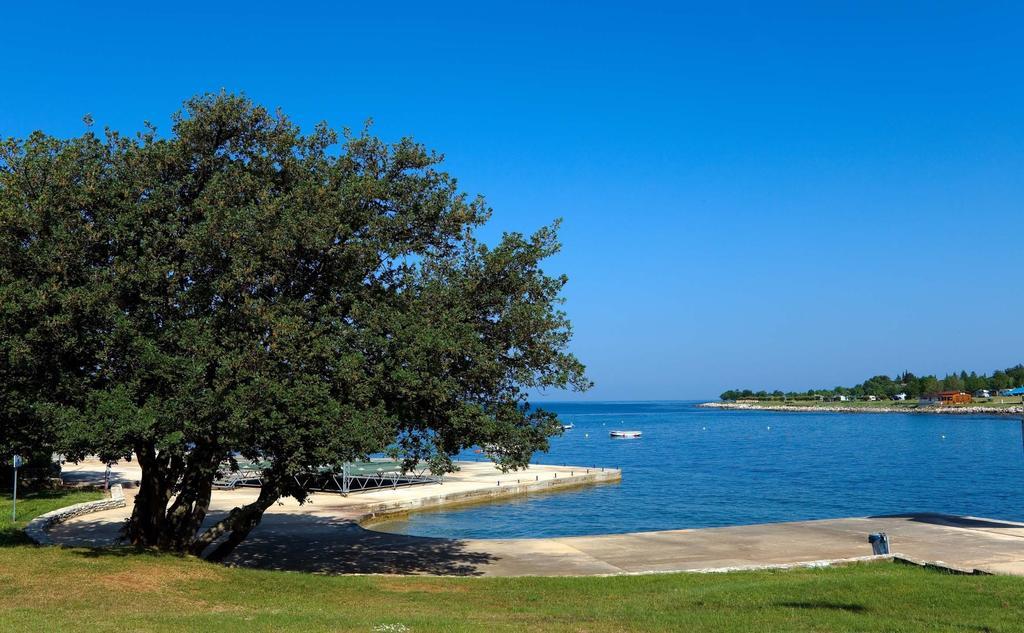 Happy Camp Mobile Homes In Camping Park Umag كاريغادور المظهر الخارجي الصورة